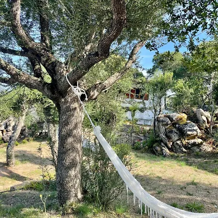 La Petra Nyaraló